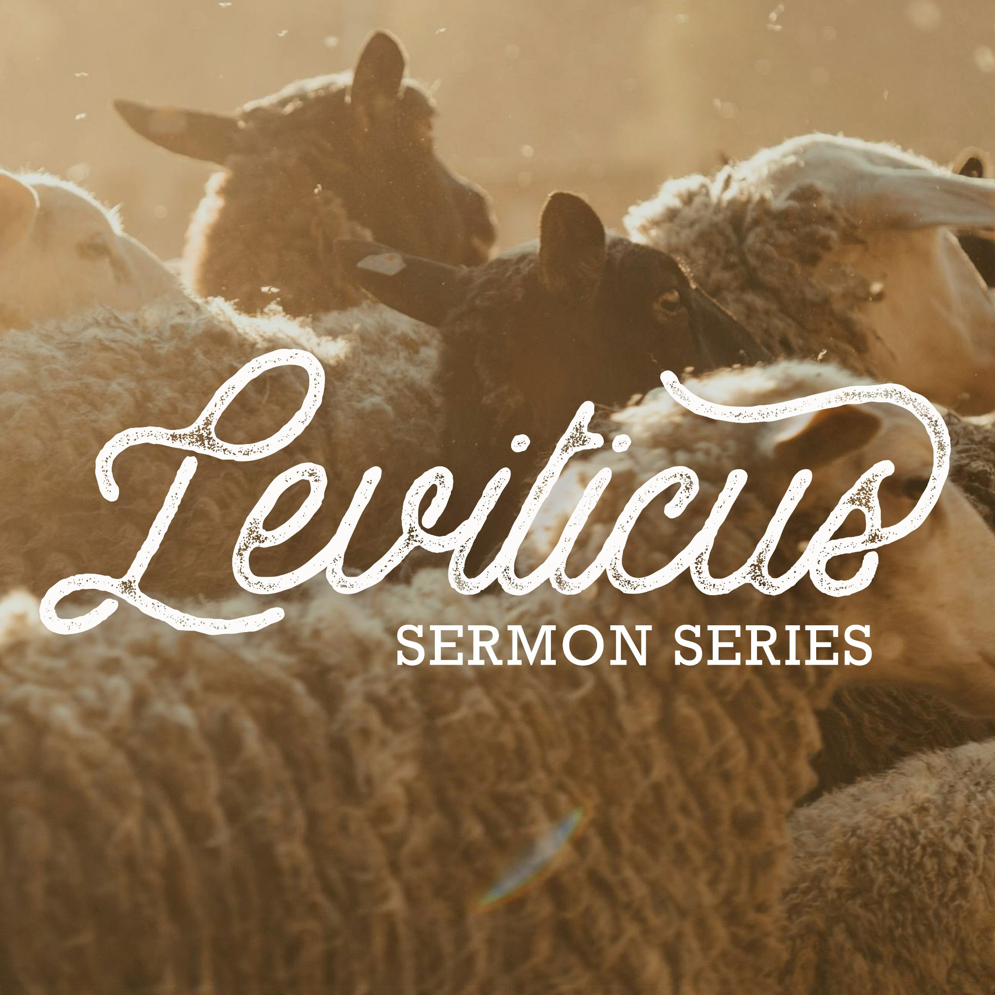 Leviticus 21-22 - Holy Worship